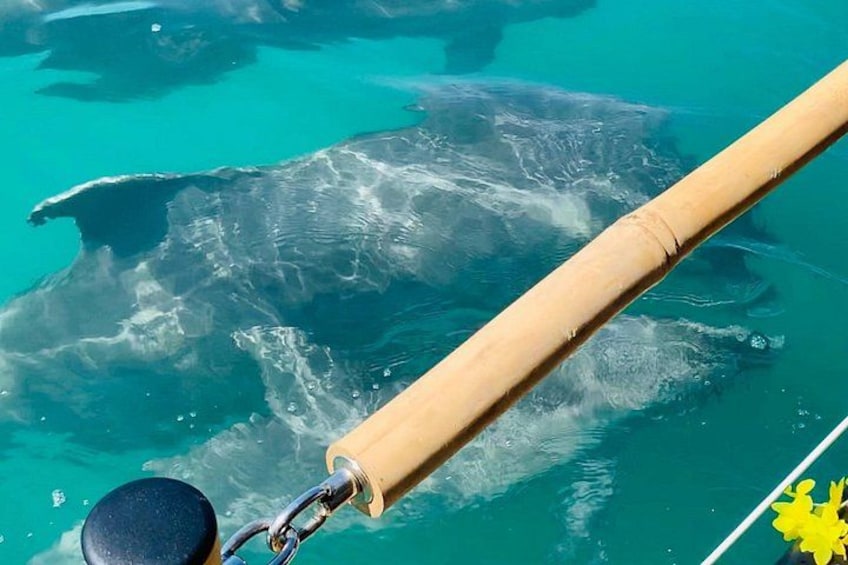 Tiki Boat - Clearwater - The Only Authentic Floating Tiki Bar 3