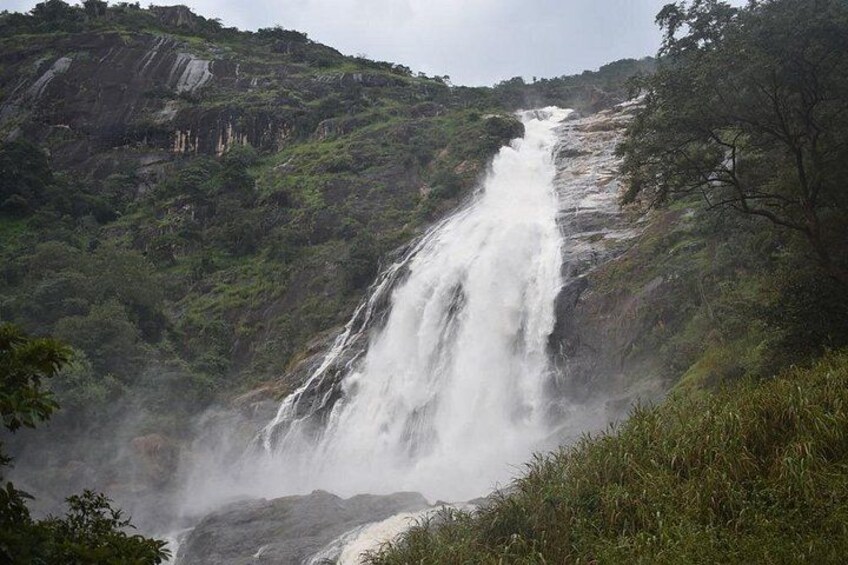 Una cascata che scorre su un pendio roccioso, circondata da vegetazione lussureggiante. 1
