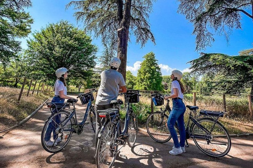 The Grand Bike Tour of Lyon - 3h 3