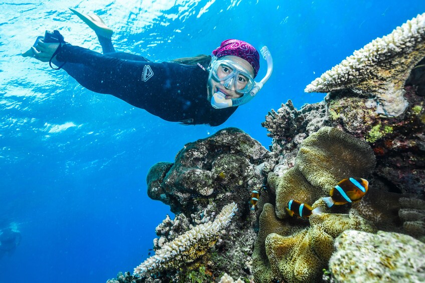 Half-Day Green Island, Great Barrier Reef Cruise