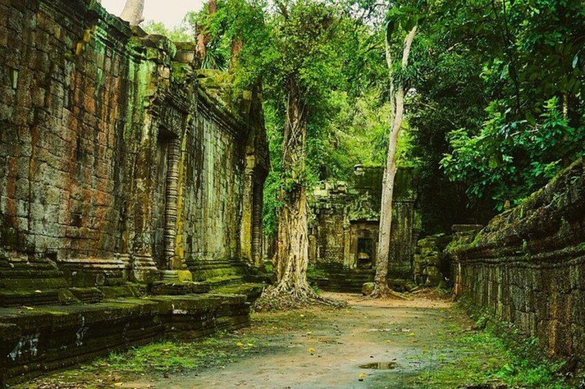 Private 2-Day Tour Temples with Sunset and Sunrise 3