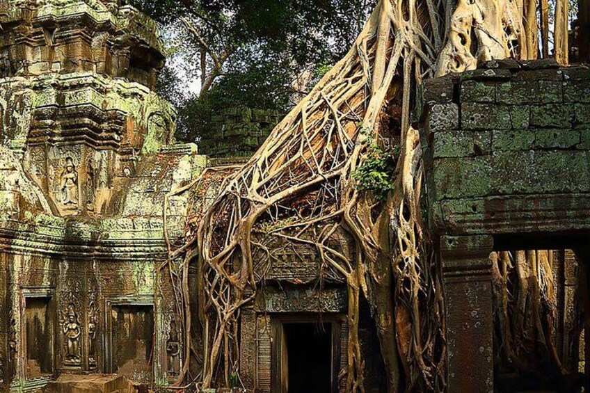 An ancient temple with intricate carvings and overgrown with vines. 2