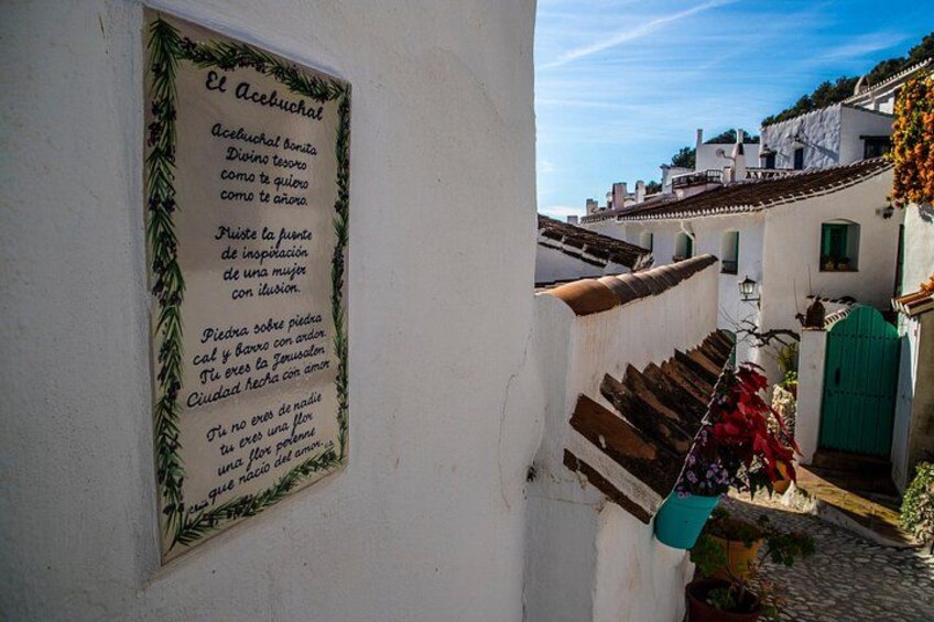 Travel Factory Andalusia : Nerja, Frigiliana & El Acebuchal 3