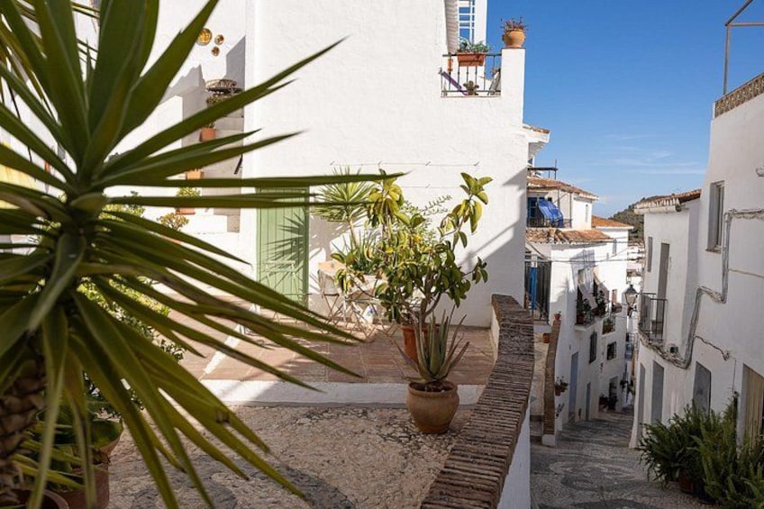 Travel Factory Andalusia : Nerja, Frigiliana & El Acebuchal 5