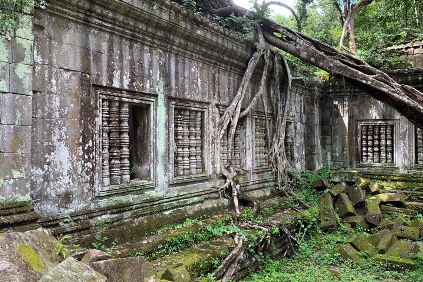 Un temple antique, envahi par la végétation et dont les grandes racines d’arbres s’enroulent autour de la structure. 4