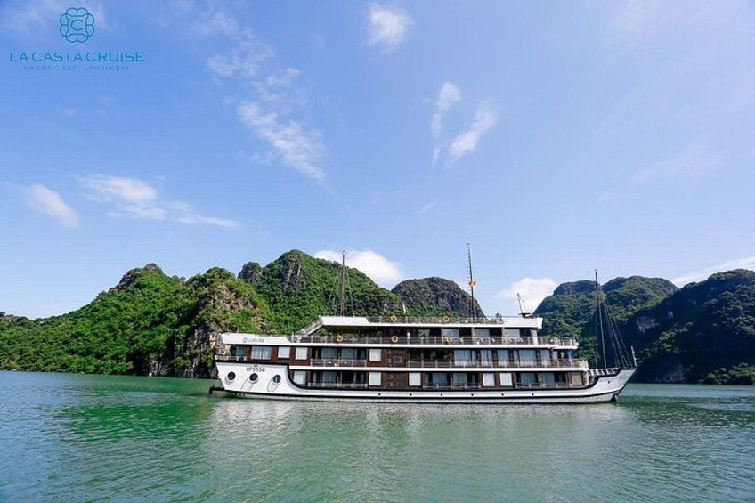 A large, multi-deck cruise ship on calm waters with lush green hills in the background. 4