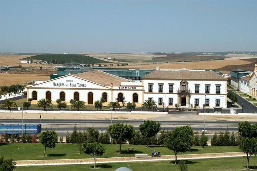 Un edificio blanco con los letreros 'Marques del Real Tesoro' y 'Tio Mateo', rodeado de césped verde y árboles. 2