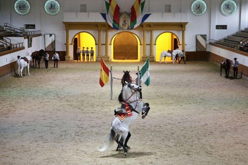 Equestrian Show and Winery in Jerez from Seville 1