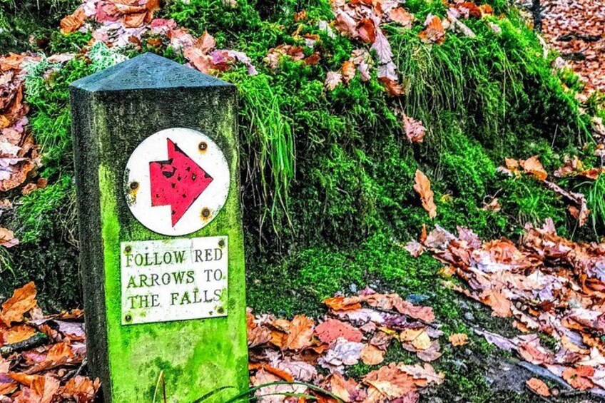 MANCHESTER: Lake District Adventure - Sightseeing Day Trip Tour 4