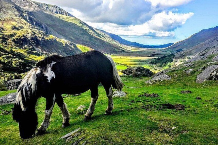 North Wales Sightseeing Adventure Day Trip from Manchester 3