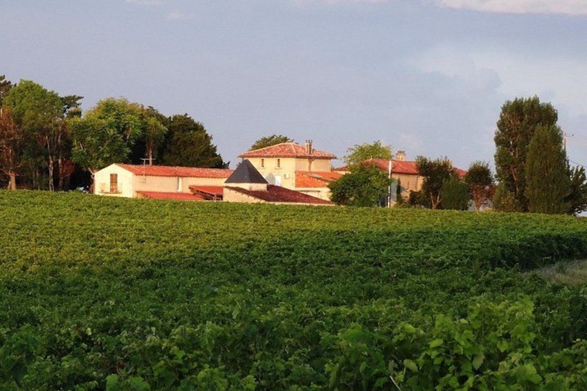 a traditional estate nestled in the vineyard of cognac 3
