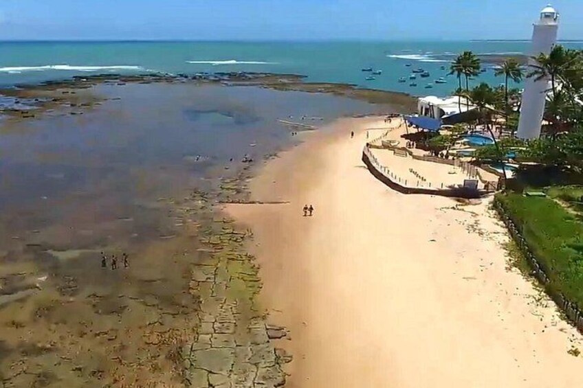 Tour to Praia do Forte and Guarajuba 4