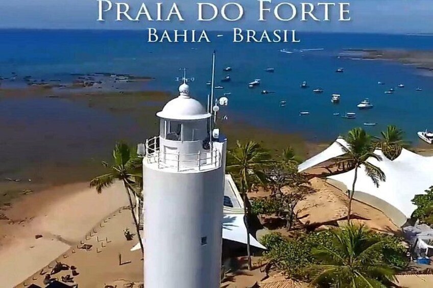 Tour to Praia do Forte and Guarajuba 1