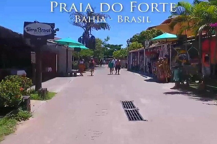 Tour to Praia do Forte and Guarajuba 3