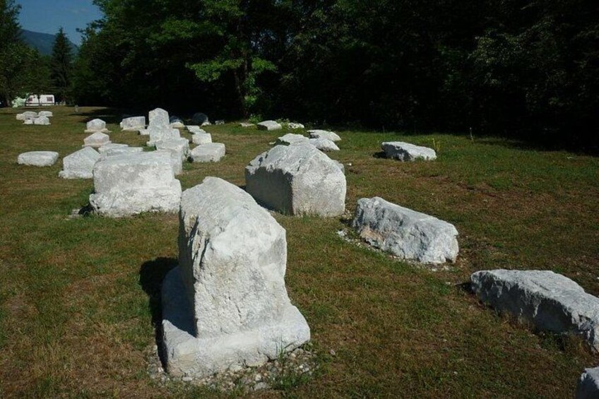 Large white rocks scattered in a grassy field with trees in the background. 2