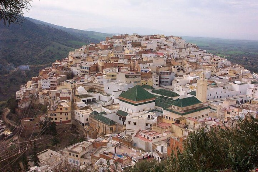 A densely packed town with a prominent mosque and surrounding buildings. 3
