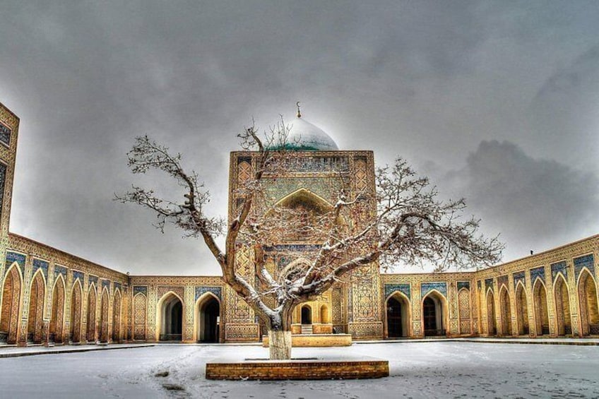 Bukhara One Day Tour - Departure From Tashkent 3
