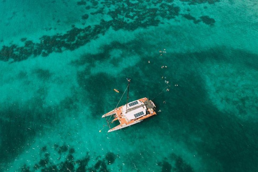 Excursion to the Rosario Islands with Lunch and Snorkeling 1