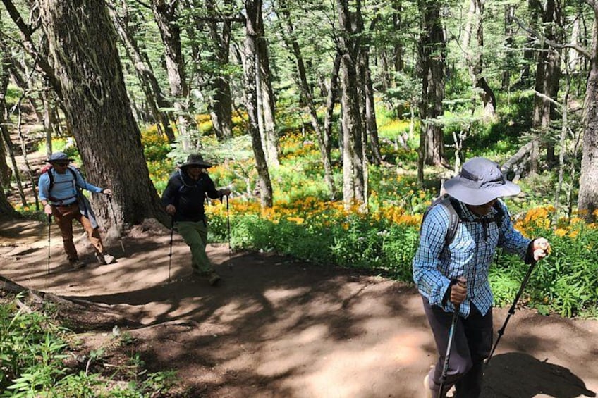 Trekking Day in Bariloche - Low/Medium/High difficulty 4