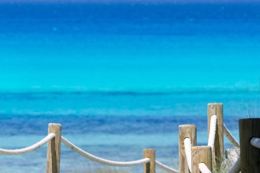 IBIZA-FORMENTERA SEA EXPERIENCE, from Figueretas 5