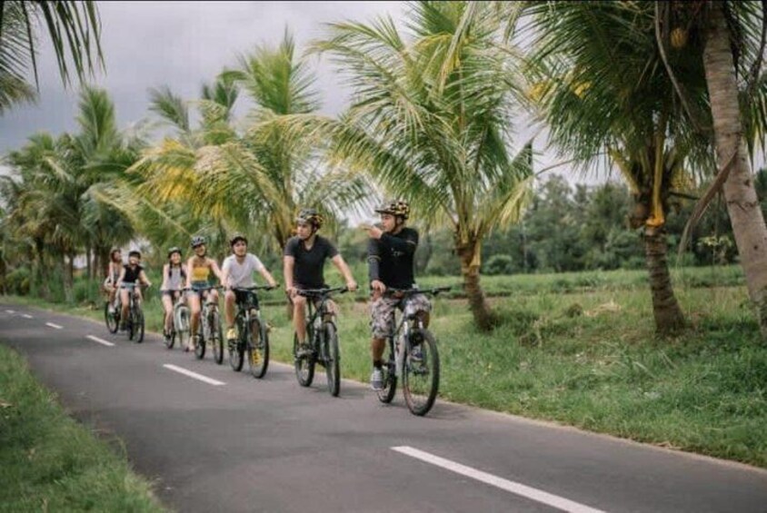 Best of Ubud Cycling and Jungle Swing With Lunch - Ubud, Indonesia