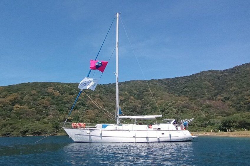 Sailing to Tayrona with Luis and his team: Unique! 3