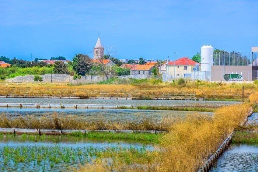 Day trip to Nin and Zadar