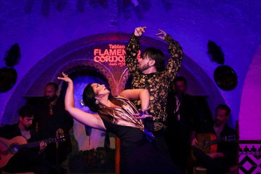 Bailaora and Bailaor Flamenco 5