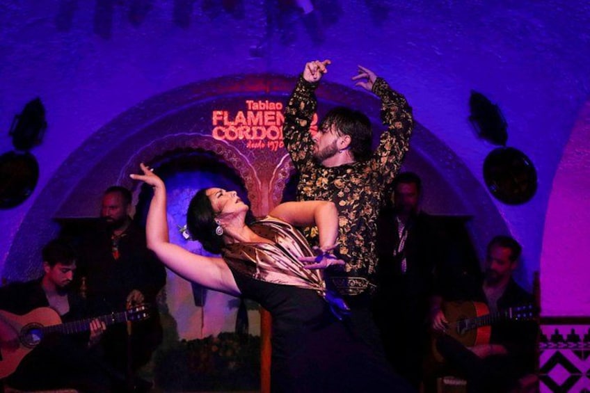 Bailaora and Bailaor Flamenco 2