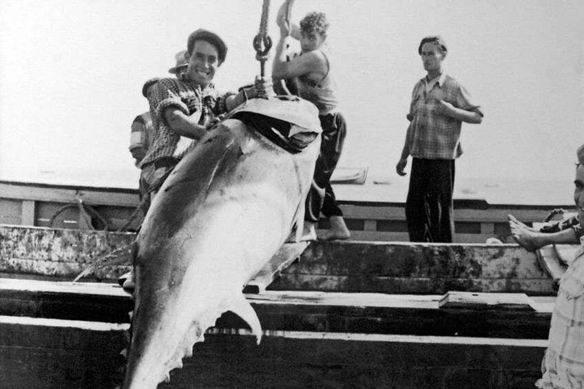 Un gros poisson est soulevé par une grue, tandis que des personnes se tiennent debout sur un quai. 1