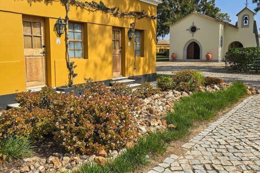 Tuk tuk Tour Tavira Total - 2h00 - Includes Tuna Museum and Fishing Village 5
