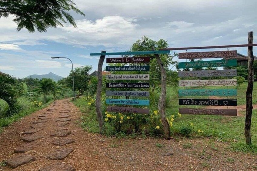 A dirt path leading to a signpost with multiple directional signs. 1