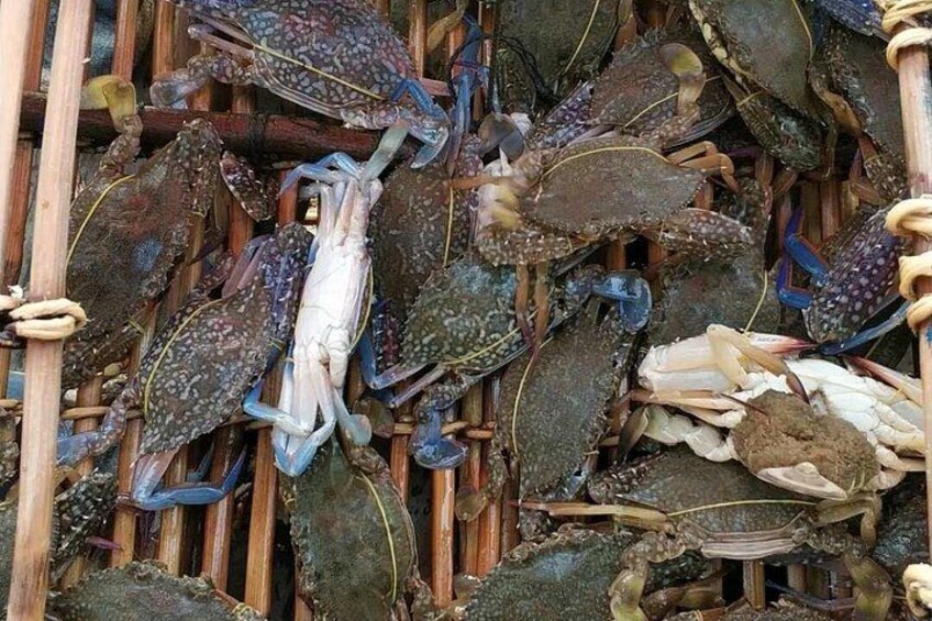 A collection of crabs in a woven basket. 5