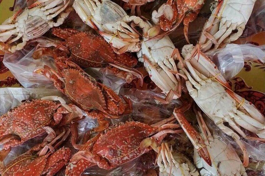 A pile of crabs, some in plastic bags. 4
