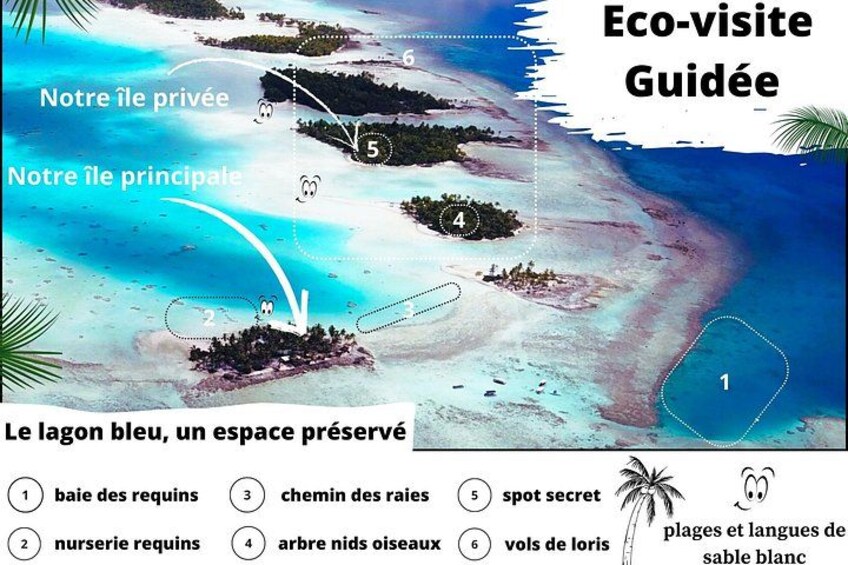 Eco-Visit to the Blue Lagoon 2