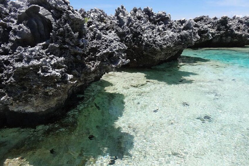 A clear turquoise sea, rocky formations, and a coral reef. 3