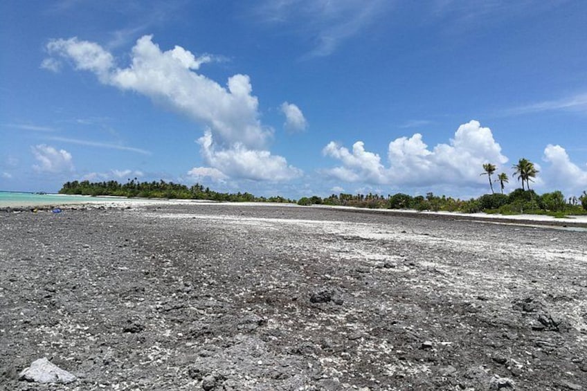 A beach with a clear sky, scattered clouds, and distant palm trees. 2