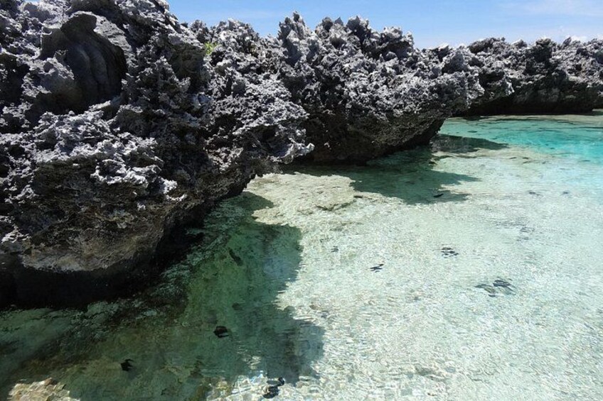 Reef Island - Rangiroa 3