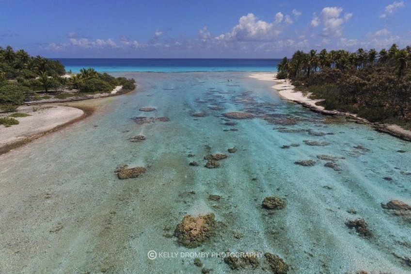 A turquoise sea with clear waters, a sandy beach, and a line of palm trees. 2
