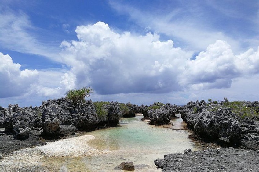 A coastal landscape with rocky formations and a clear sky. 4