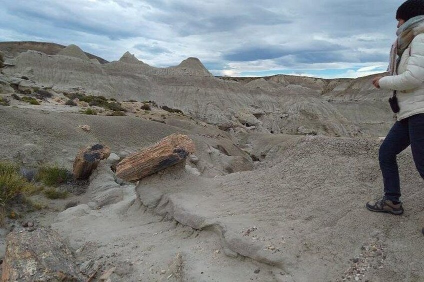 Una persona cammina su un terreno roccioso con dolci colline a strati sullo sfondo. 1