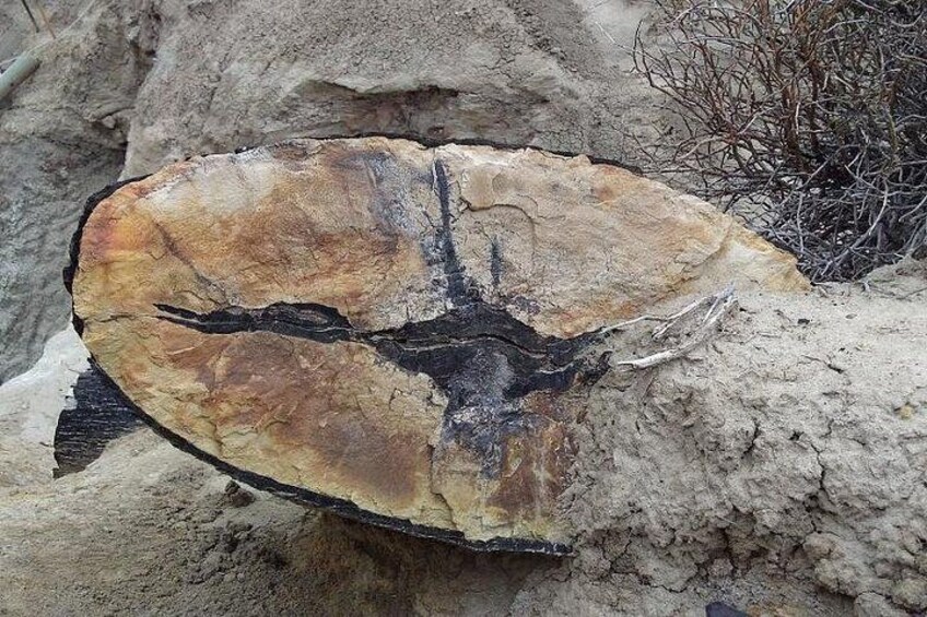 Una grande formazione rocciosa piatta con una netta crepa nera che la attraversa. 5