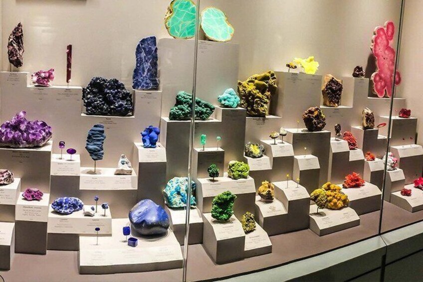 A display of various minerals and rocks in a museum setting. 5