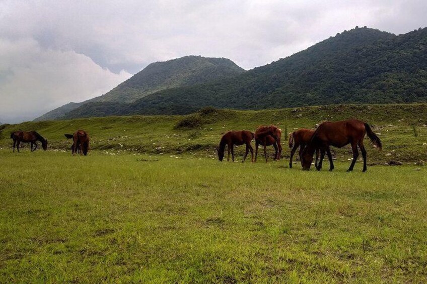 On the way to Okatse Waterfall