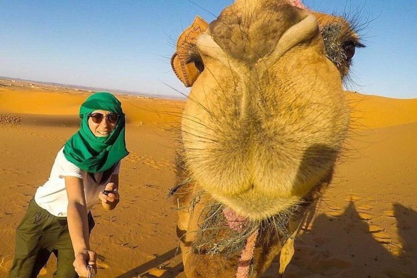 A person in a desert with a camel. 2