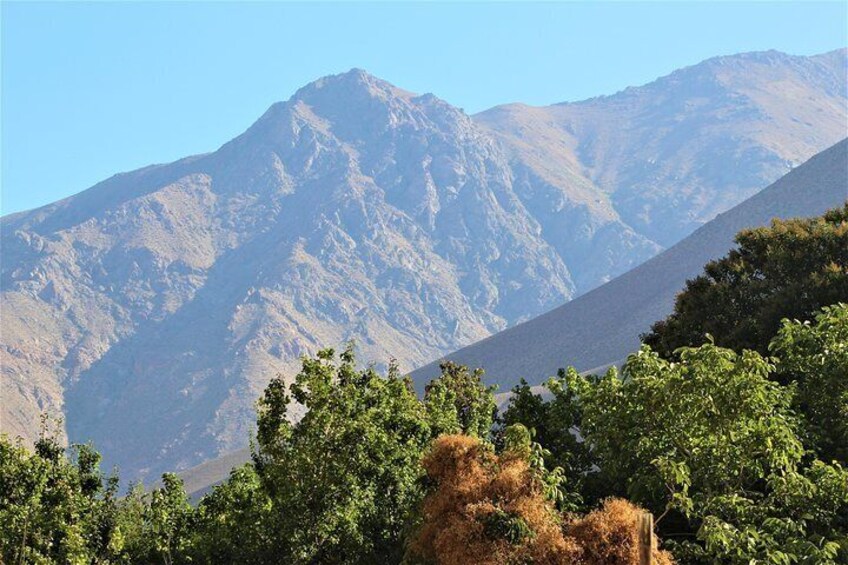 Pisco Elqui images 5