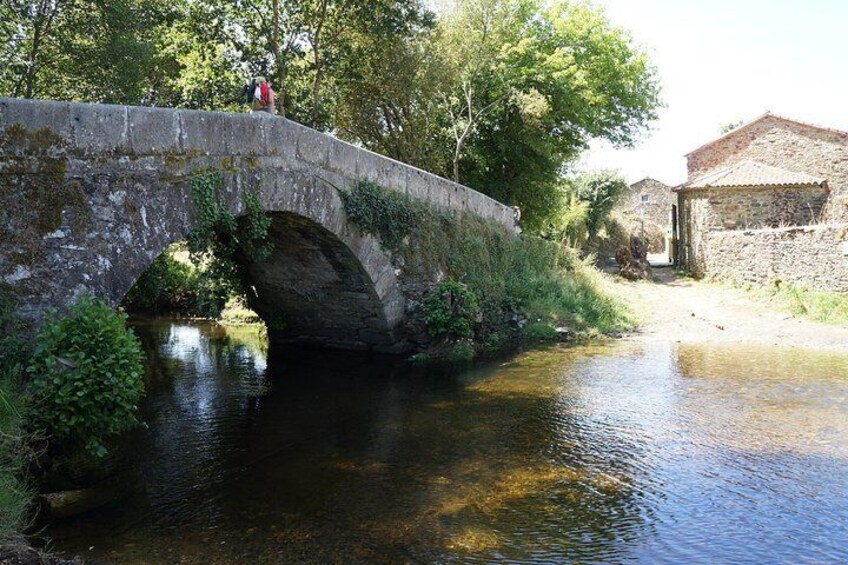 8-Day Camino Frances Pilgrimage Tour from Sarria to Santiago - 2nts Santiago