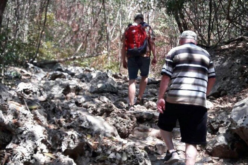 Walk to the Cave 5