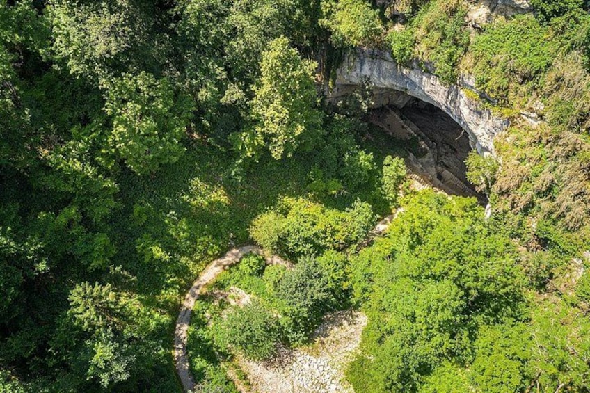 A stone bridge over a river, surrounded by dense green forest. 4