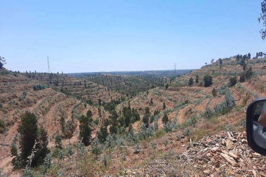Serra de Silves 2